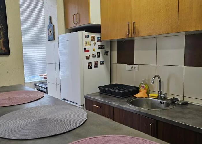 The Traveling Theater 贝尔格莱德